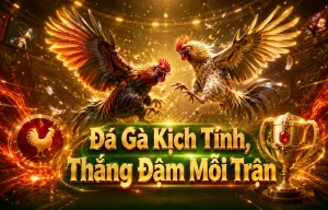 Đá gà Supremechicks